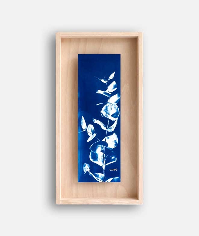 Frame Cyanotype Eucalyptus WALL DECORATION 85,00 € Frame Cyanotype Eucalyptus WALL DECORATION 85,00 €