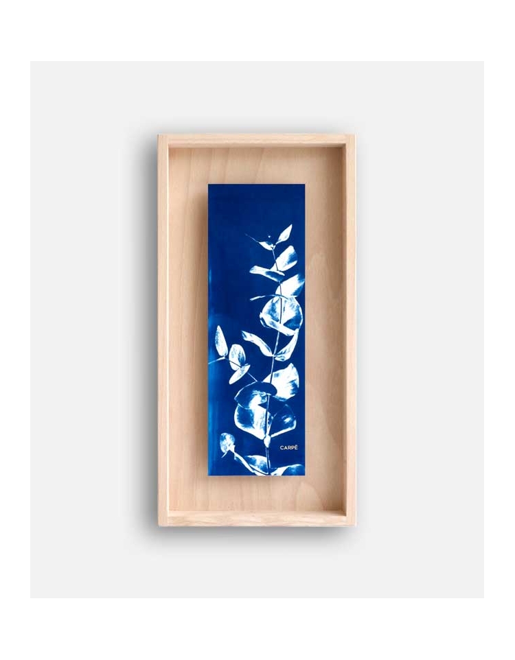 Rahmen Cyanotype Eukalyptus WAND DEKORATION 85,00 €