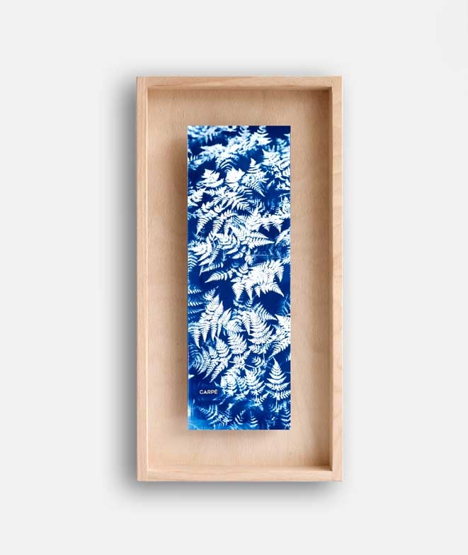 Rahmen Cyanotype Farn WAND DEKORATION 85,00 € Rahmen Cyanotype Farn WAND DEKORATION 85,00 €