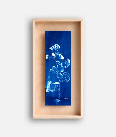 Frame Cyanotype Ginkgo WALL DECORATION 85,00 €