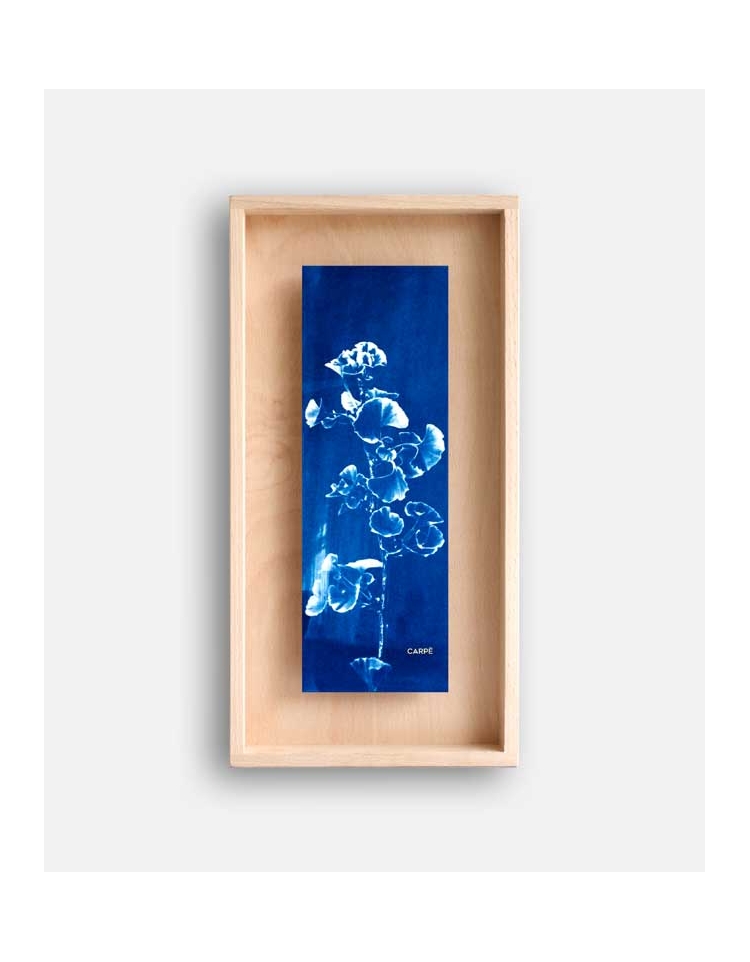 Rahmen Cyanotype Ginkgo WAND DEKORATION 85,00 €