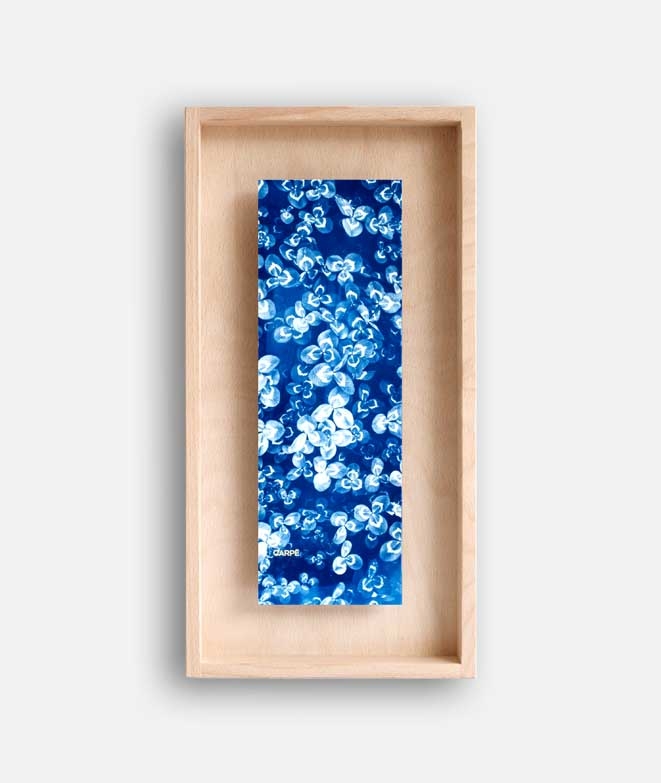 Cadre Cyanotype Trèfles DECORATION MURALE 85,00 € Cadre Cyanotype Trèfles DECORATION MURALE 85,00 €