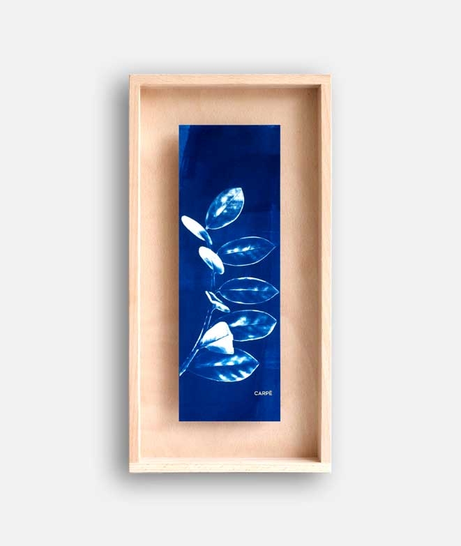 Rahmen Cyanotype ZZ Pflanze WAND DEKORATION 85,00 € Rahmen Cyanotype ZZ Pflanze WAND DEKORATION 85,00 €