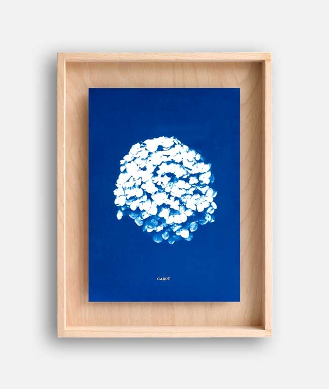 Frame Cyanotype Hortensia WALL DECORATION 95,00 € Frame Cyanotype Hortensia WALL DECORATION 95,00 €