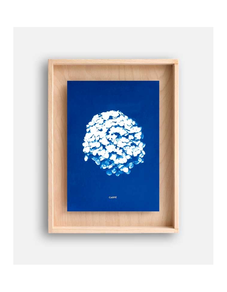 Rahmen cyanotype Hortensia WAND DEKORATION 95,00 €