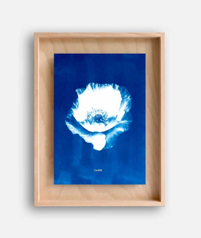 Frame Cyanotype Poppy WALL DECORATION 95,00 € Frame Cyanotype Poppy WALL DECORATION 95,00 €