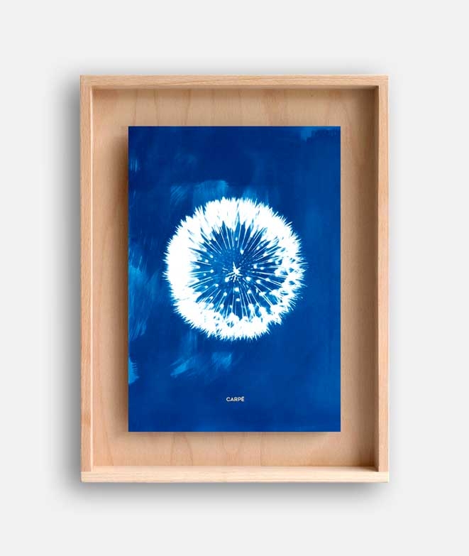 Frame Cyanotype Dandelion WALL DECORATION 95,00 € Frame Cyanotype Dandelion WALL DECORATION 95,00 €