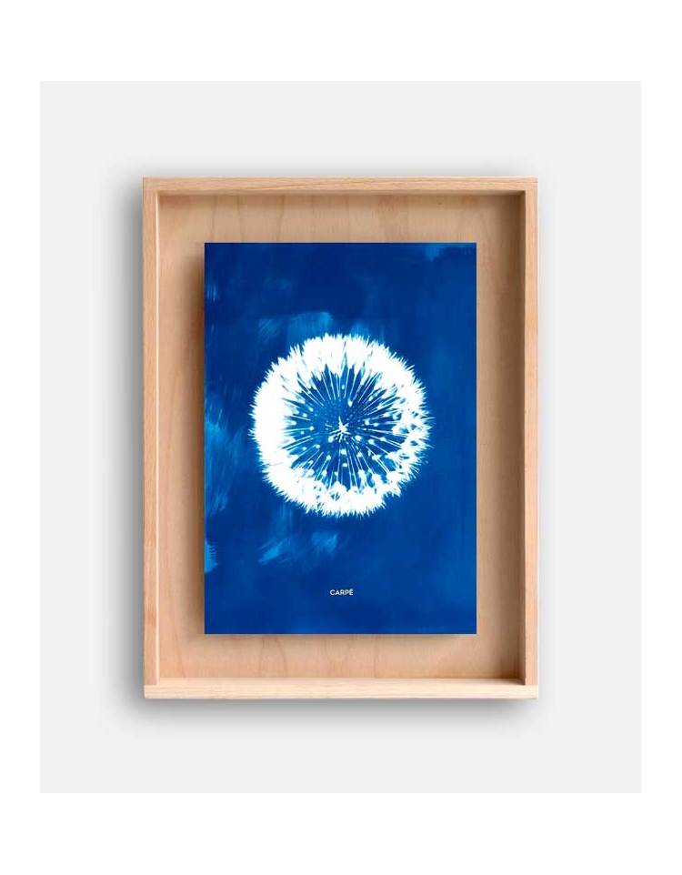 Rahmen cyanotype Pusteblume WAND DEKORATION 95,00 €