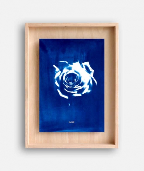 Cadre cyanotype Rose DECORATION MURALE 95,00 €