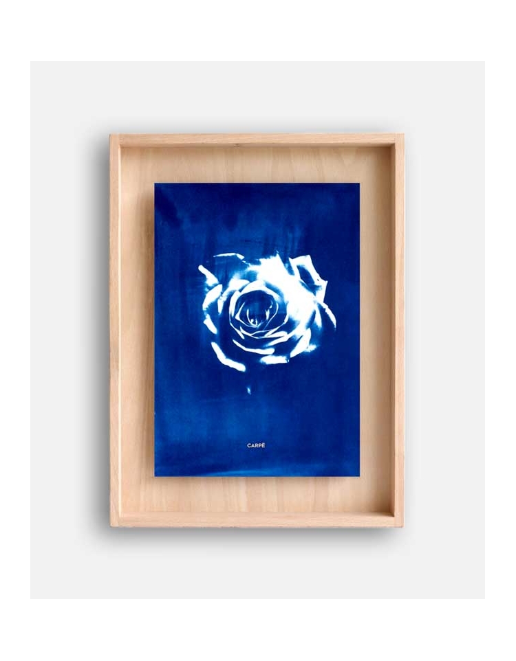 Rahmen cyanotype Rose WAND DEKORATION 95,00 €