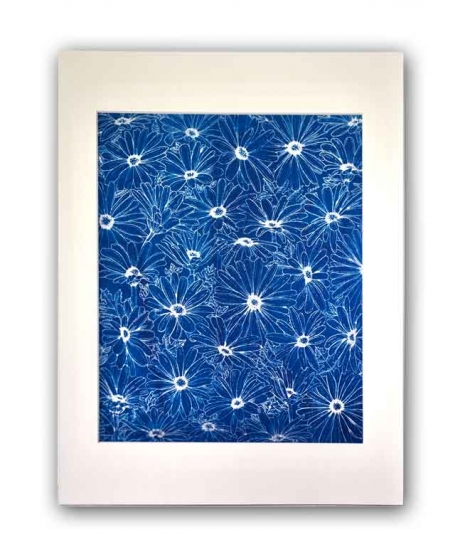 Print Daisies cyanotype WALL DECORATION 59,00 €